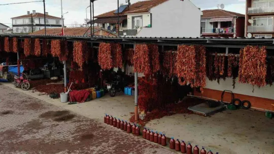 Karaağaç biberi kurutma mesaisinde sona gelindi