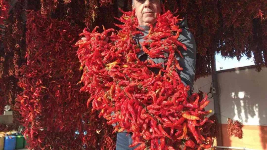 Karaağaç biberi kurutma mesaisinde sona gelindi