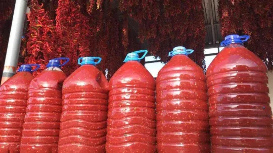 Karaağaç biberi kurutma mesaisinde sona gelindi