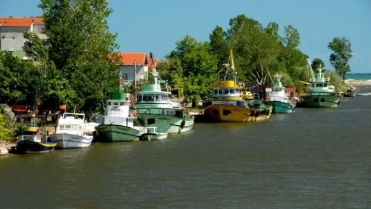 Karasu Somon Balığı İşleme Tesisi kurulacak