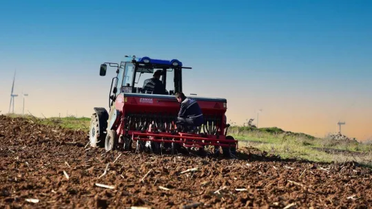 Karesi Belediyesi boş tarlalara buğday ekti