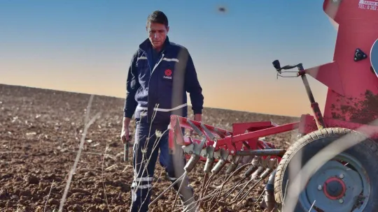 Karesi Belediyesi boş tarlalara buğday ekti