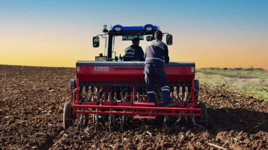 Karesi Belediyesi boş tarlalara buğday ekti
