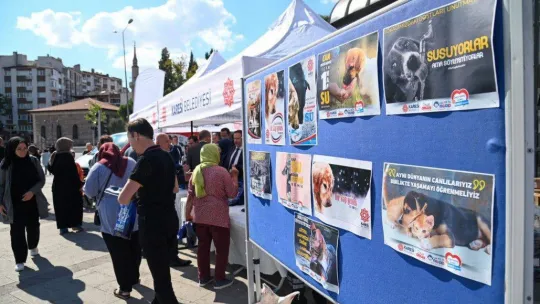 Karesi Belediyesi'nden sokak hayvanlarına 2 ton mama