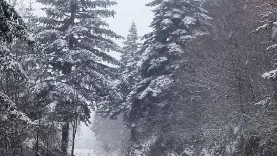 Karla mücadele ekiplerinin mesaisi başladı