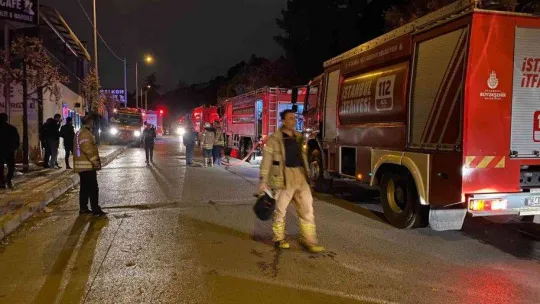Kartal Aydos Ormanı'nda çıkan yangın söndürüldü