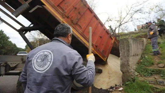 Kartal, kar ve buzlanmaya karşı hazır