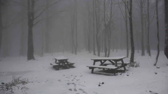 Kartepe'de kar kalınlığı 10 santimetreye yaklaştı