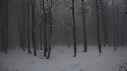 Kartepe'de kar kalınlığı 10 santimetreye yaklaştı