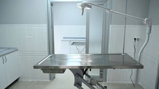 Kartepe'nin sokak hayvanları artık emin ellerde olacak