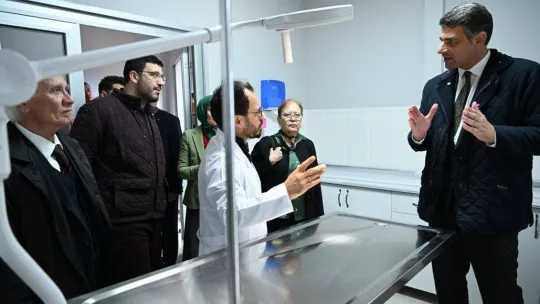 Kartepe'nin sokak hayvanları artık emin ellerde olacak