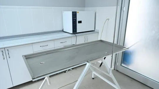 Kartepe'nin sokak hayvanları artık emin ellerde olacak