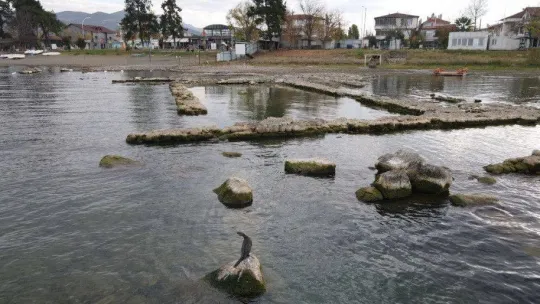 Kasım ayının ortasında gölde yüzdüler