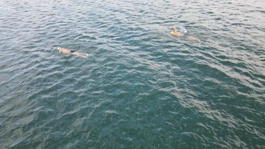 Kasım ayının ortasında gölde yüzdüler