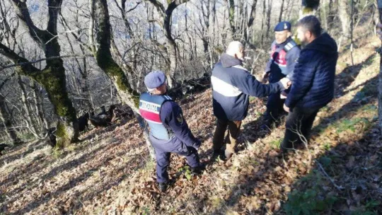Kayıp koyunları jandarma ekipleri buldu