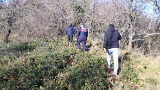 Kayıp koyunları jandarma ekipleri buldu