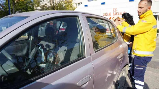 Kaza yapınca panikle köpeğini aracının içinde unuttu