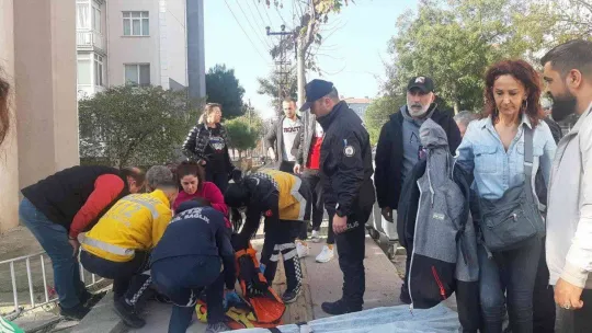 Kaza yapınca panikle köpeğini aracının içinde unuttu