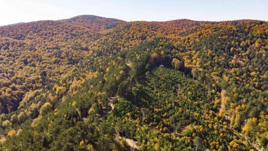 Kazdağları'nın eşsiz sonbahar güzellikleri dron ile görüntülendi
