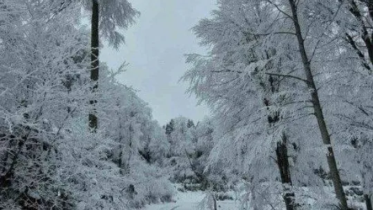 Kazdağları'nın zirveleri beyaz örtüye büründü