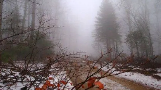 Kazdağları yağan karla beyaza büründü