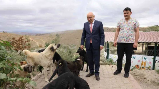 Keçiören Belediyesinden sokak hayvanlarına bakım ve tedavi çalışması
