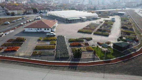 Keçiören'deki akıllı serada onlarca tür bitki yetiştiriliyor