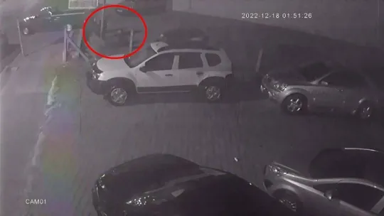 Kendi galerilerinin önünde ölesiye darp edildiler