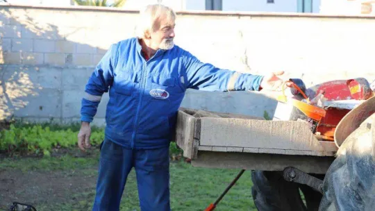 Kesilmiş ağacı tekrar kesince başına gelmeyen kalmadı