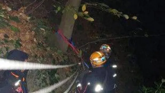 Kestane toplamaya gitti, uçuruma yuvarlanarak yaralandı