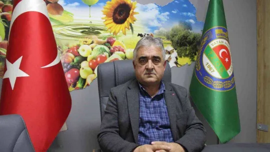 Kırklareli'de son yağışlarla buğday tarlaları yeşillendi