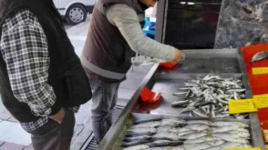 Kırklareli'nde balıkçılar denetlendi