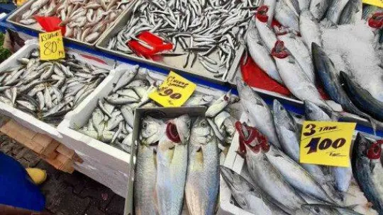 Kırklareli'nde balıkçılar denetlendi