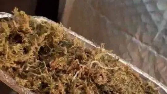 Kırklareli'nde bir evde 1 kilo 91 gram esrar ele geçirildi