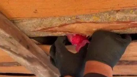 Kırklareli'nde bir evde 1 kilo 91 gram esrar ele geçirildi