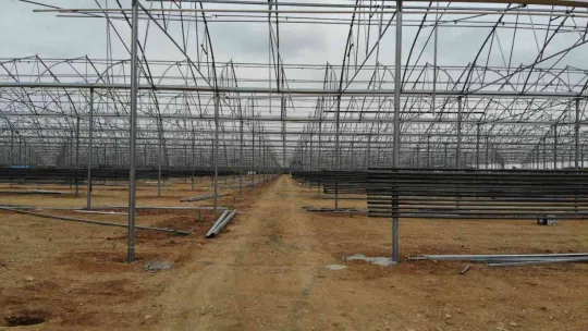 Kırklareli'nde jeotermal su kaynağıyla seralarda sebze ve meyve üretilecek