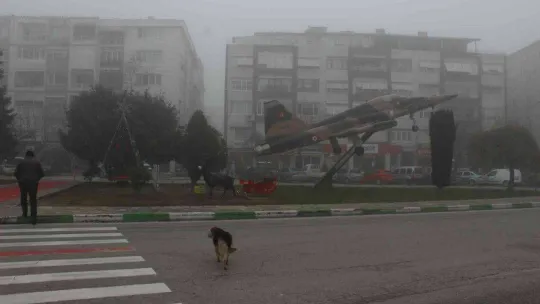 Kırklareli'nde yoğun sis etkili oluyor