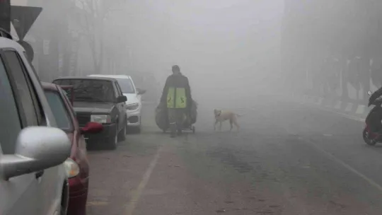Kırklareli'nde yoğun sis etkili oluyor