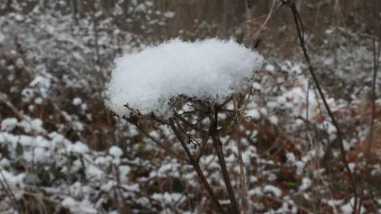 Kırklareli'nin yüksek kesimlerinde kar etkisi sürüyor