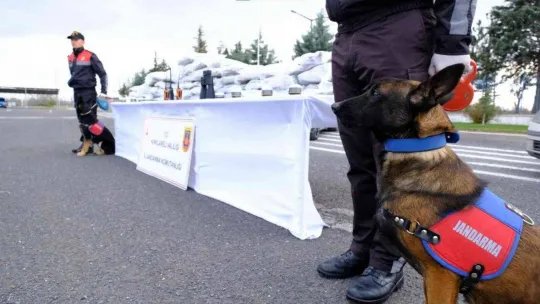 Kırklareli tarihinin en büyük uyuşturucu operasyonu: 86 kilogram skunk ele geçirildi