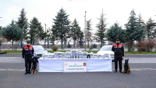 Kırklareli tarihinin en büyük uyuşturucu operasyonu: 86 kilogram skunk ele geçirildi