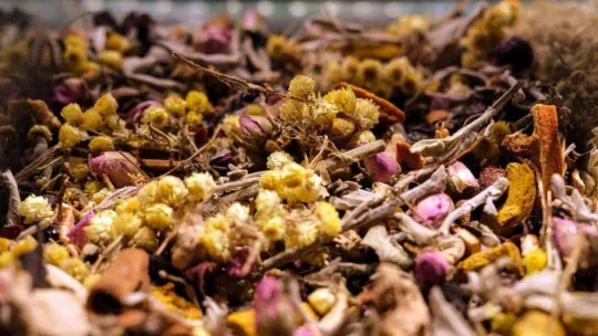 Kış çayına talep arttı, kilosu 300 lira