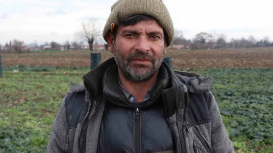 Kışın ortasında tarım işçilerinin zorlu mesaisi