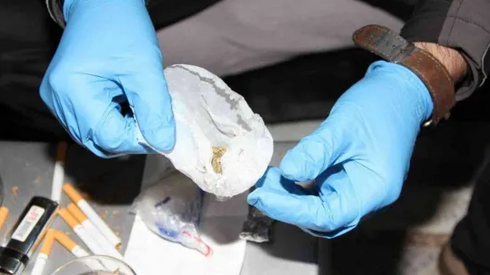 Kocaeli'de 'Kökünü Kurutma Operasyonu'nda 157 şüpheli tutuklandı