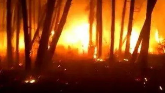 Kocaeli'de iki farklı noktada yangın