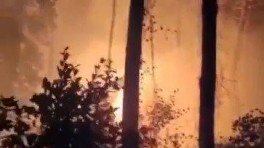 Kocaeli'de iki farklı noktada yangın