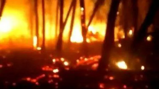 Kocaeli'de iki farklı noktada yangın