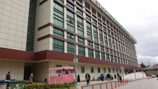 Kocaeli'de tenha alanda cesedi bulunan kadının kimliği belli oldu