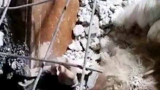 Kocaeli'den deprem bölgelerine giden ekip 24 kişiyi enkazdan sağ çıkardı