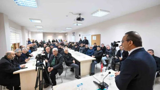 Kocaeli Valisi Yavuz'dan sokak köpekleri açıklaması